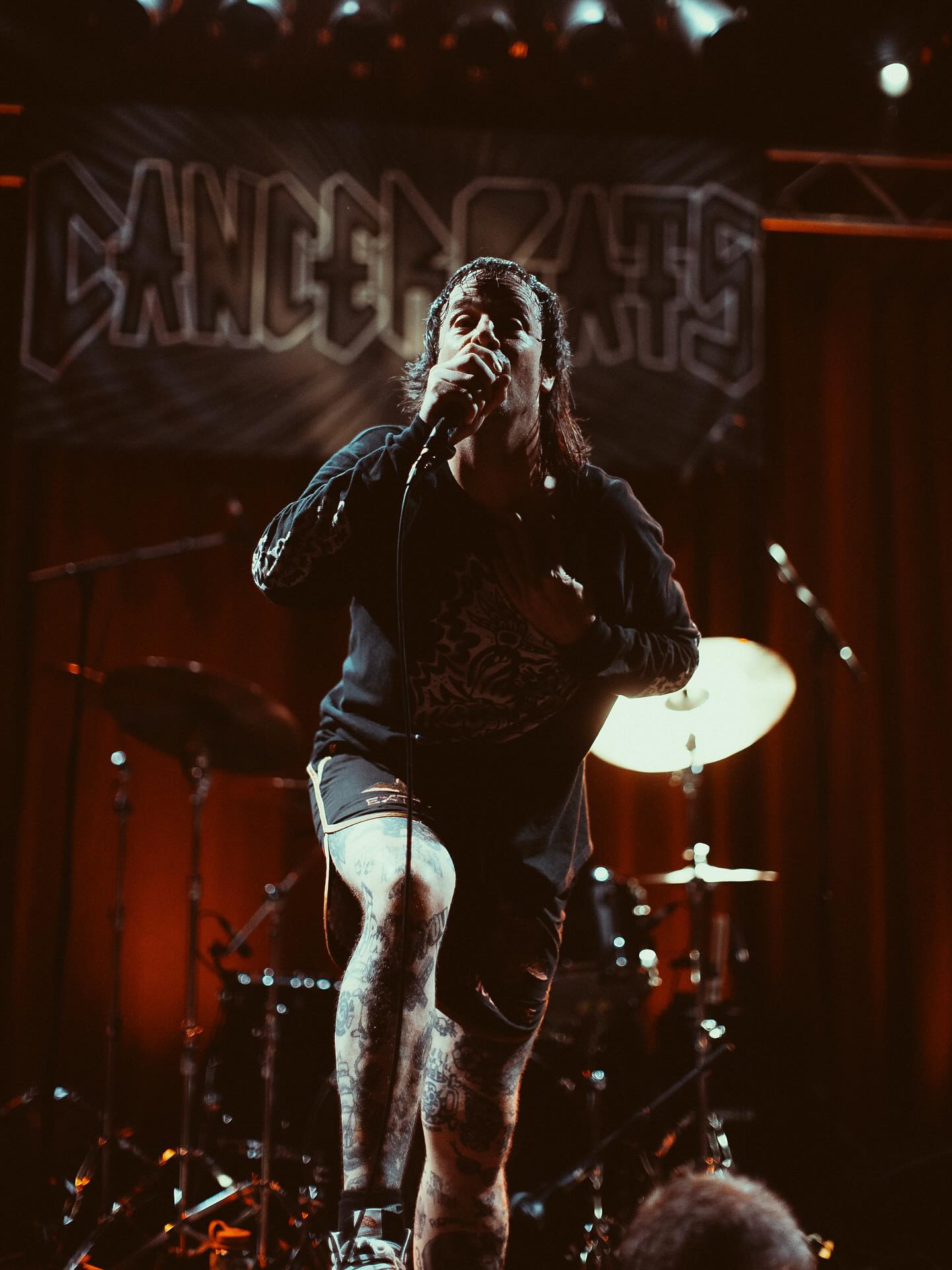 Cancer Bats